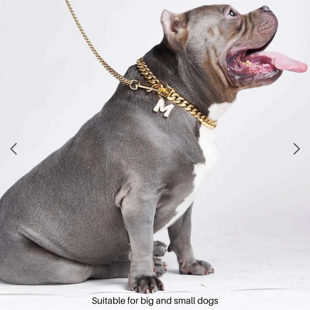 Spark Paws Cuban link gold chain necklace / dog collar NWOT - Picture 4 of 6